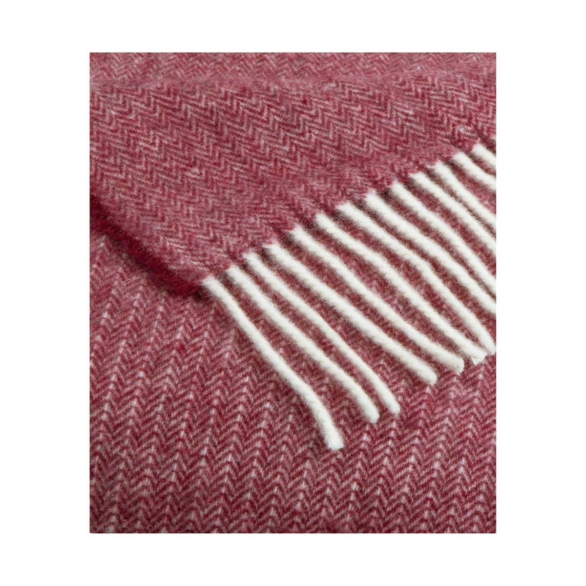 Nitra 100 Throw – Manta de Lana Reciclada y Cachemira: Beige