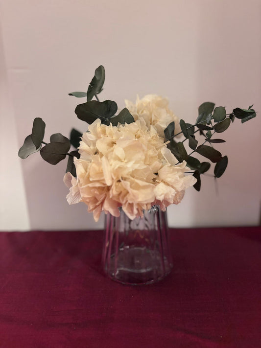 Ramo de hortensias preservadas beige