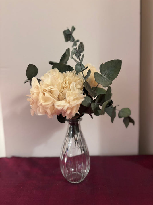 Ramo de hortensias preservadas beige